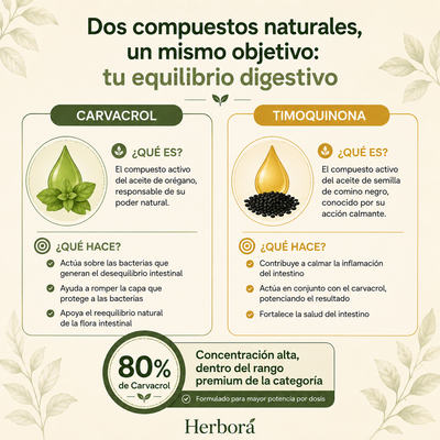 Herborá™ | Aceite de oregano | Suplemento en gotas para hinchazón crónica y salud digestiva.