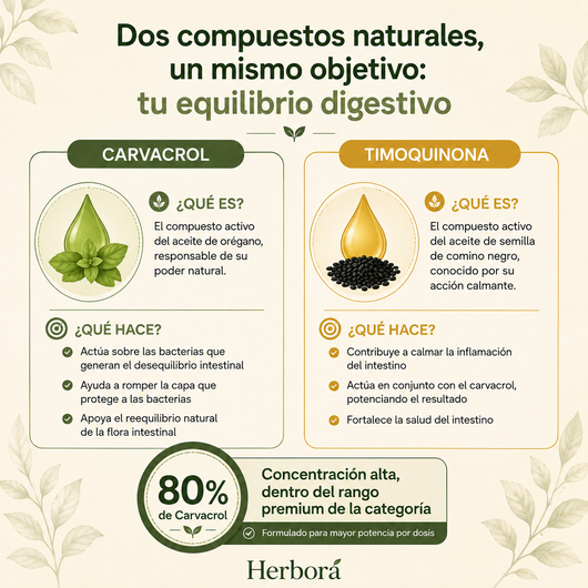 Herborá™ | Aceite de oregano | Suplemento en gotas para hinchazón crónica y salud digestiva.